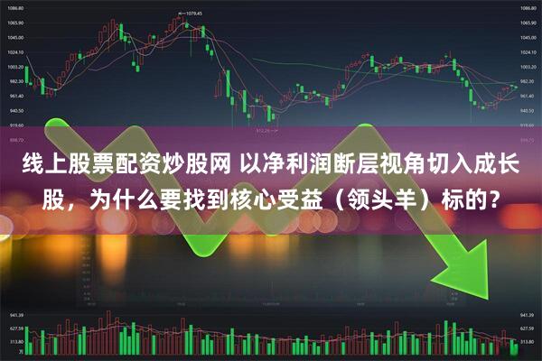 线上股票配资炒股网 以净利润断层视角切入成长股，为什么要找到核心受益（领头羊）标的？