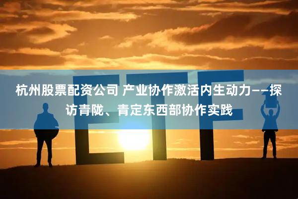 杭州股票配资公司 产业协作激活内生动力——探访青陇、青定东西部协作实践