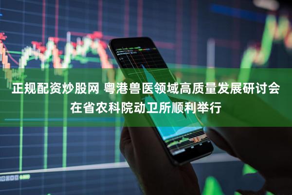 正规配资炒股网 粤港兽医领域高质量发展研讨会在省农科院动卫所顺利举行