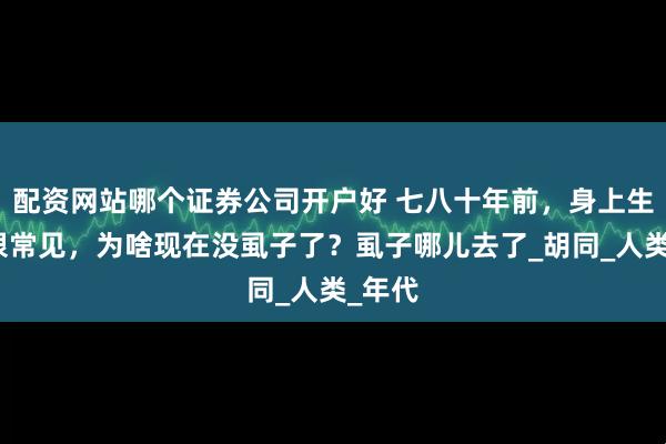 配资网站哪个证券公司开户好 七八十年前，身上生虱子很常见，为啥现在没虱子了？虱子哪儿去了_胡同_人类_年代