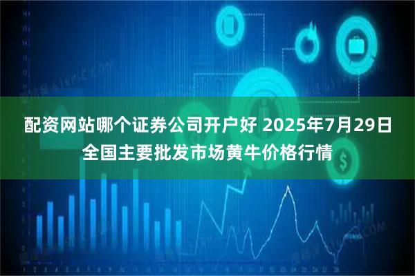配资网站哪个证券公司开户好 2025年7月29日全国主要批发市场黄牛价格行情